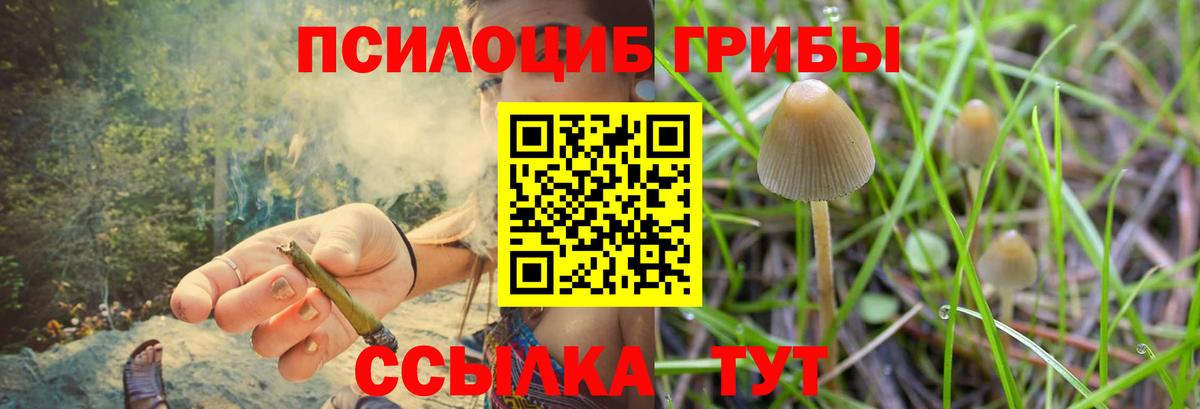 Псилоцибиновые грибы ЛСД  Псилоцибиновые грибы MAGIC MUSHROOMS  Вход с VPN  Ртищево 